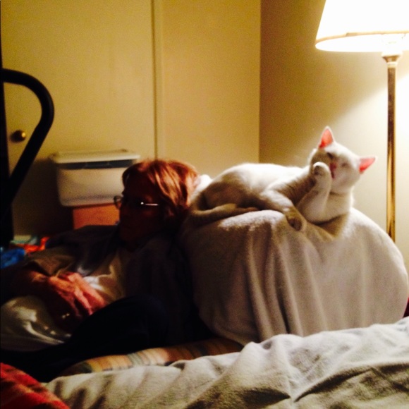 Meet your Posher, Julie - Picture 16 of 16